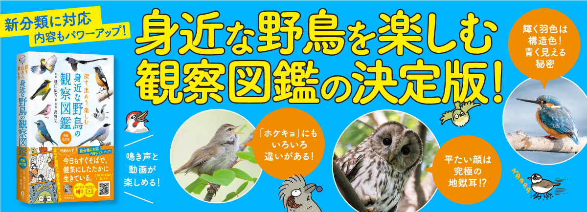 野鳥図鑑