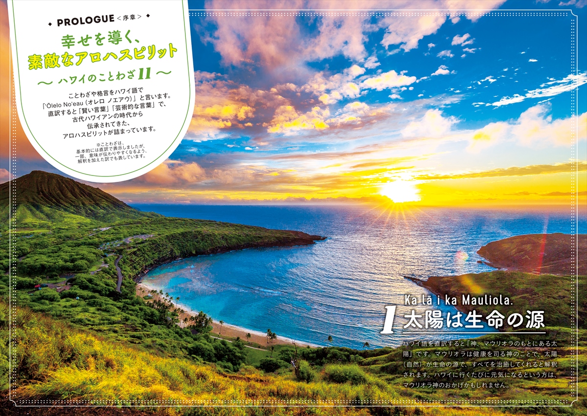 【ハワイ好き必見】ハワイ デザインブック ハワイ本オアフ最新2026〈数量限定 ALOHA PALAKA TAG 先着