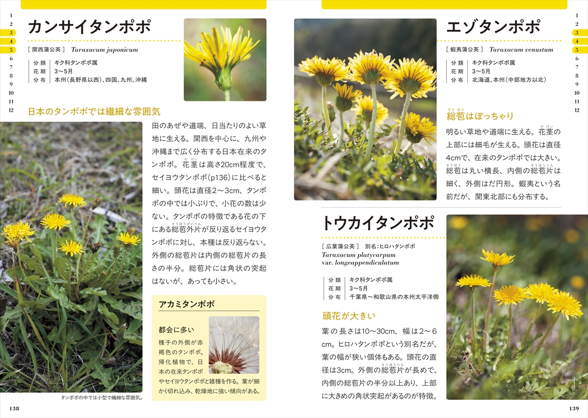 新版 色で見わけ五感で楽しむ野草・雑草図鑑 | ナツメ社