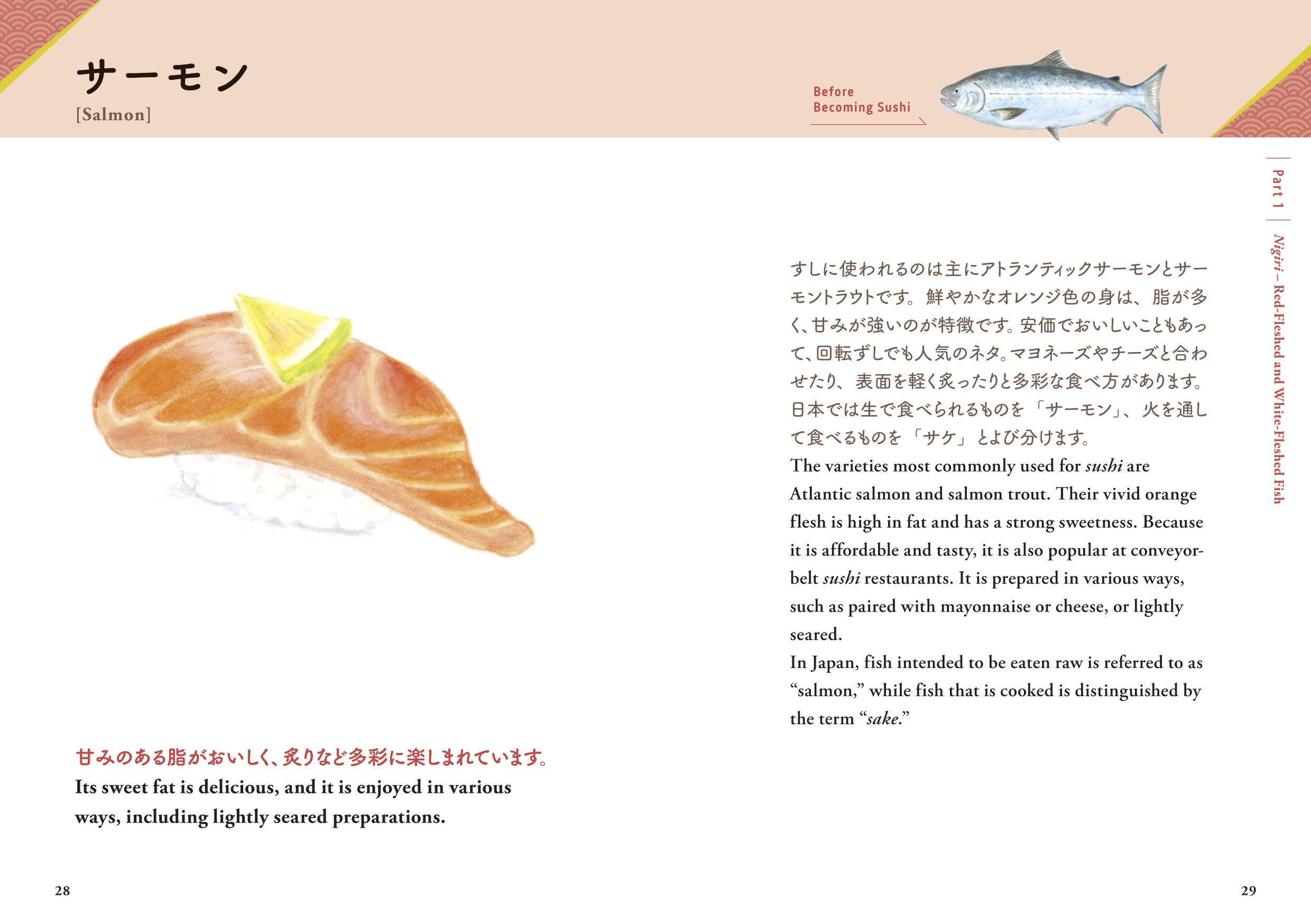 SUSHI―Discover the Delicious World of Sushi― | ナツメ社