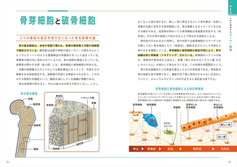 世界一細かい人体図鑑 | ナツメ社