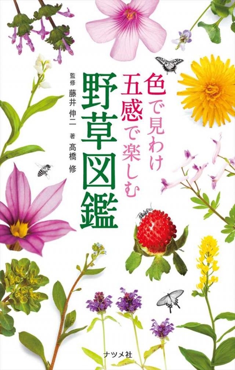 色で見わけ五感で楽しむ野草図鑑