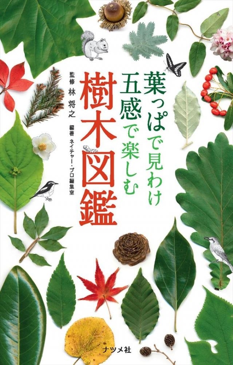 葉っぱで見わけ五感で楽しむ樹木図鑑