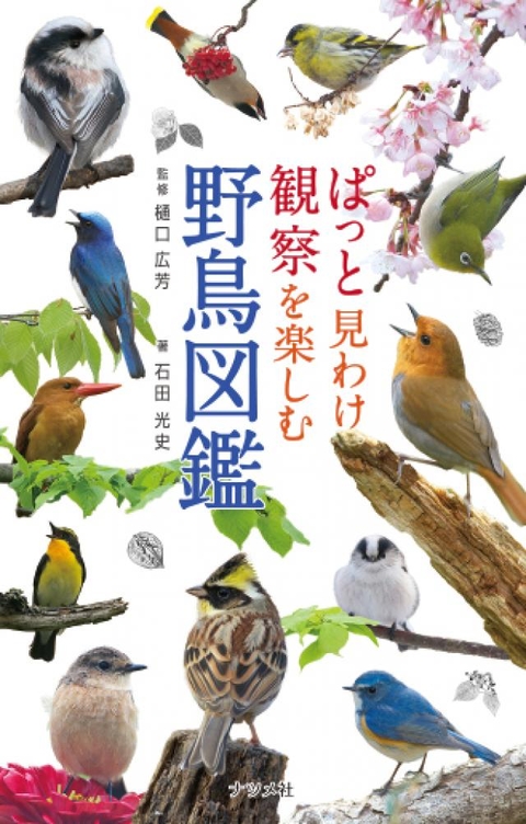 ぱっと見わけ観察を楽しむ　野鳥図鑑