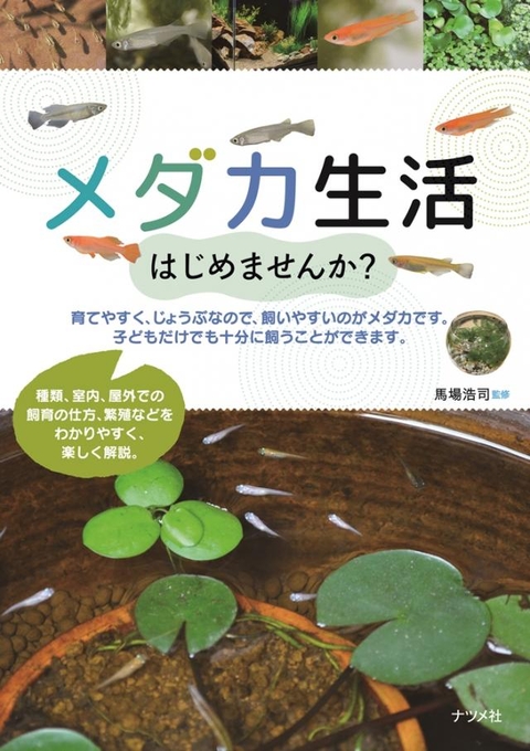 メダカ生活はじめませんか？