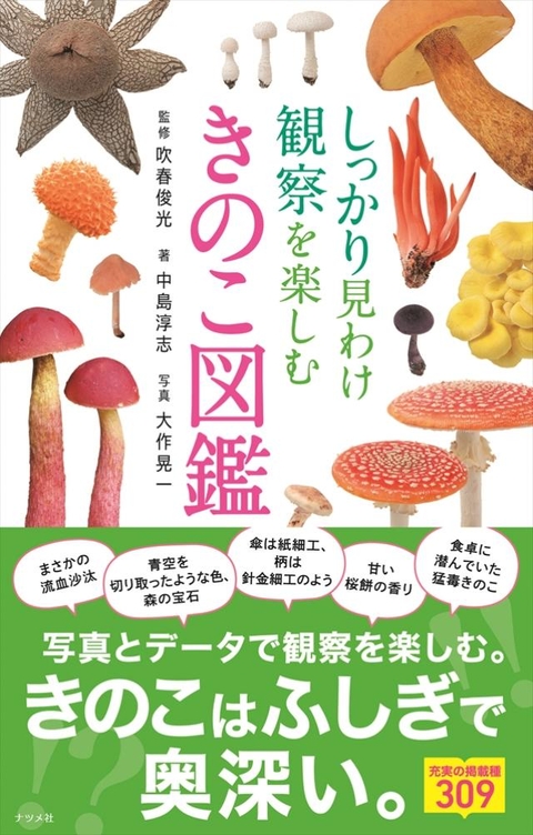しっかり見わけ観察を楽しむ　きのこ図鑑