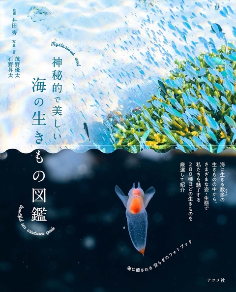 神秘的で美しい海の生きもの図鑑