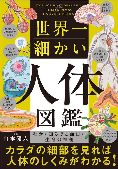 世界一細かい人体図鑑
