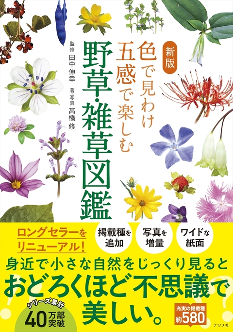 新版　色で見わけ五感で楽しむ野草・雑草図鑑