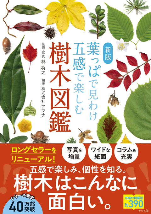 新版　葉っぱで見わけ五感で楽しむ樹木図鑑