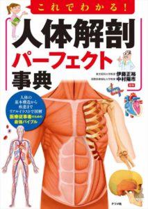 これでわかる！ 人体解剖パーフェクト事典の表紙