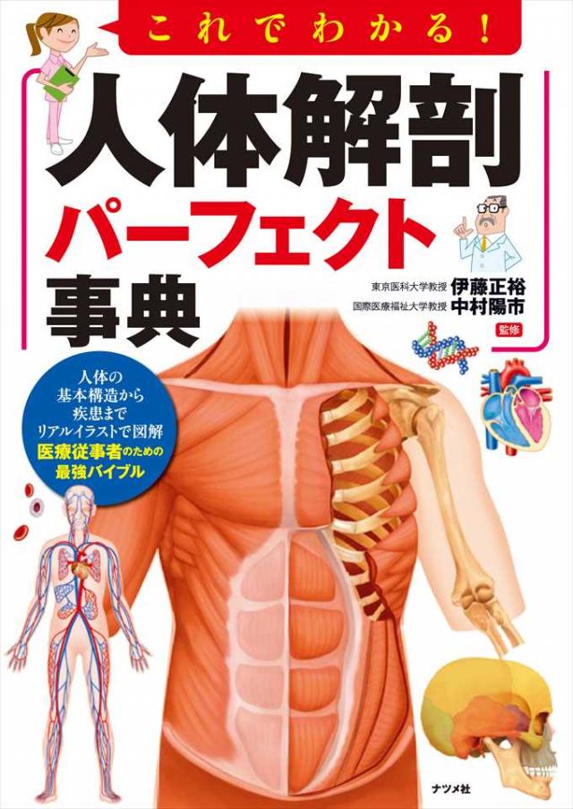 これでわかる 人体解剖パーフェクト事典 ナツメ社