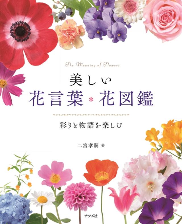美しい花言葉・花図鑑‐彩りと物語を楽しむ‐の表紙