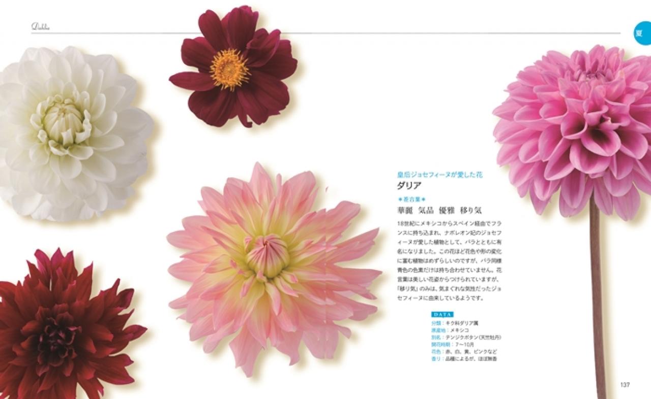 美しい花言葉 花図鑑 彩りと物語を楽しむ ナツメ社
