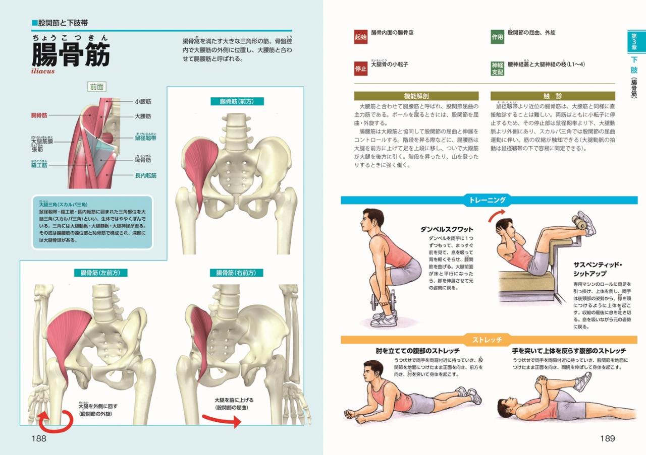 筋肉と関節の機能解剖パーフェクト事典 | ナツメ社