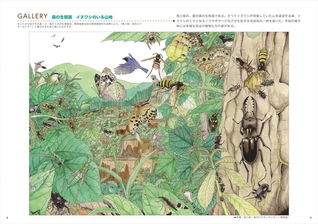 ゲッチョ先生の昆虫と自然の描き方教室 ナツメ社