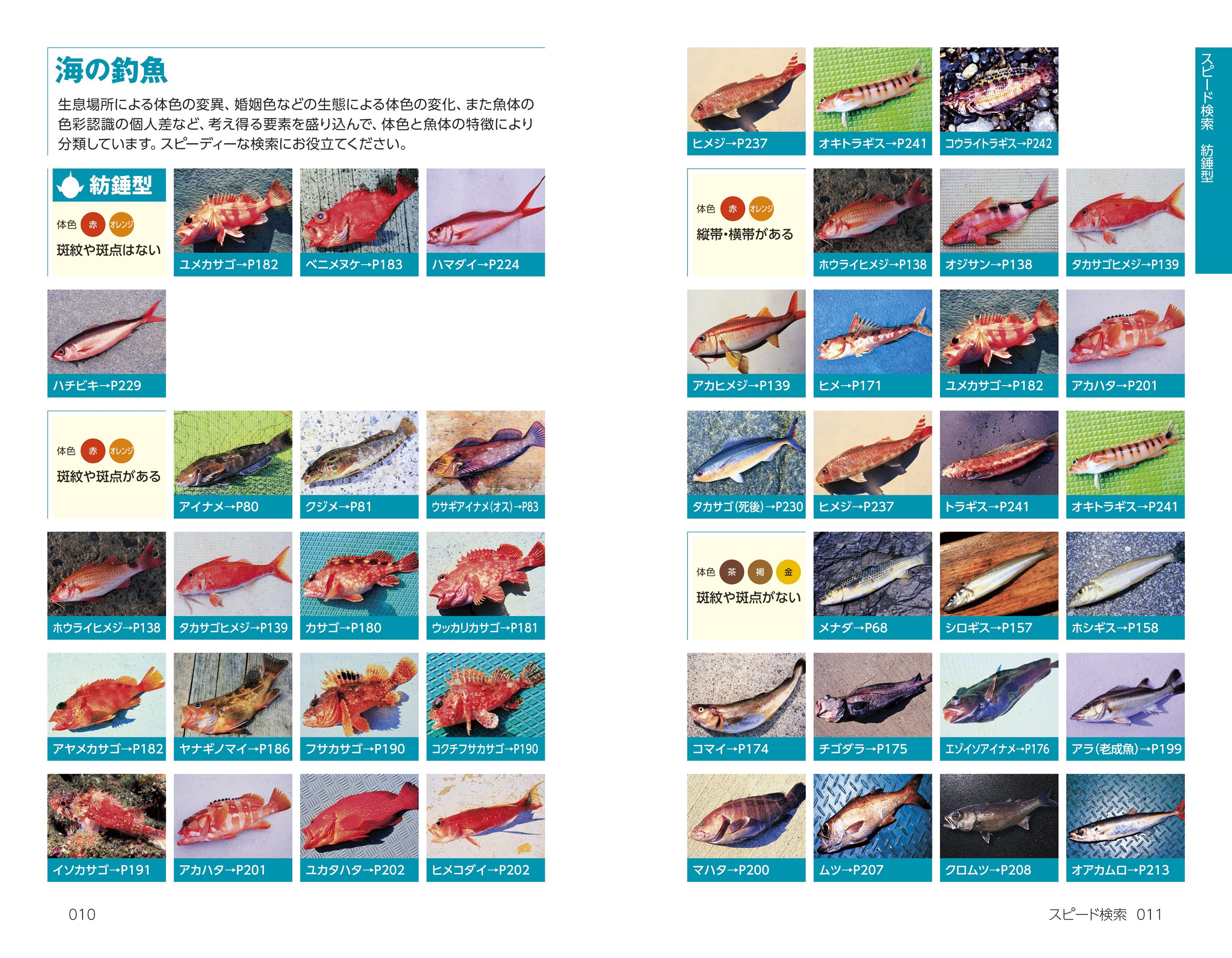 色と形で見わけ 海・川・湖沼で楽しむ 釣魚図鑑 | ナツメ社