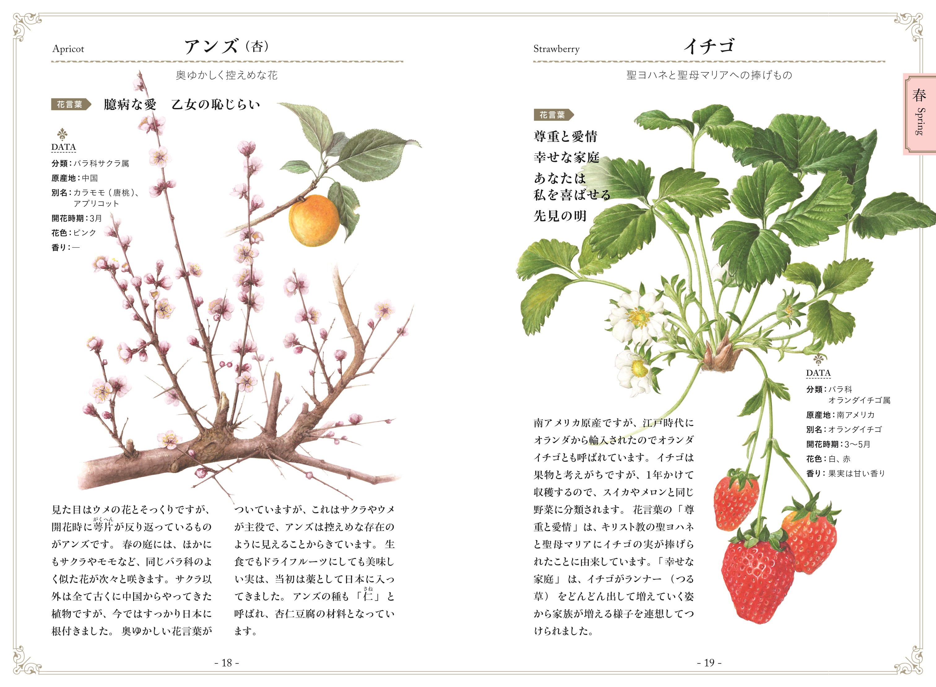 植物画で彩る 美しい花言葉 ナツメ社