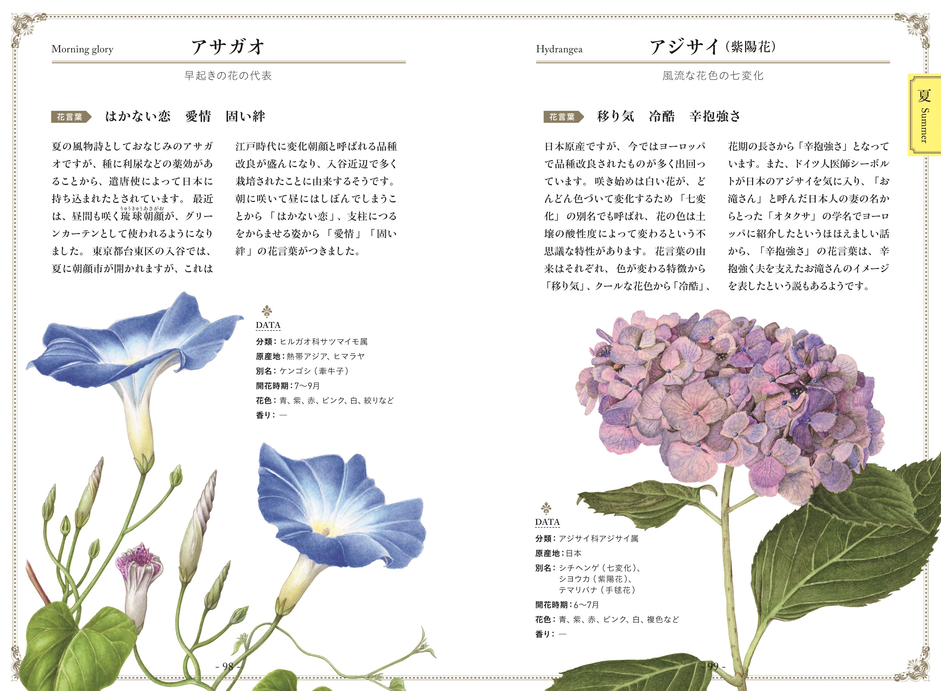 植物画で彩る 美しい花言葉 ナツメ社